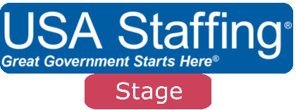 USA Staffing Stage.png